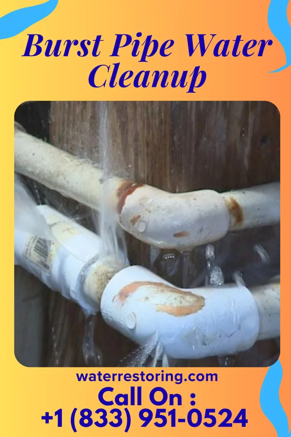 Burst Pipe Water Cleanup in Freedom, PA