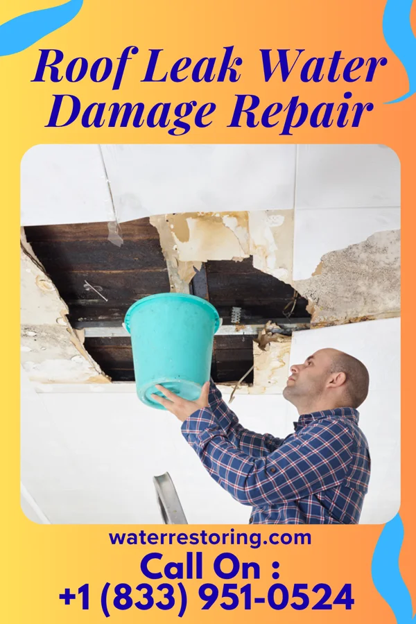 Roof Leak Water Damage Repair in Freedom, PA
