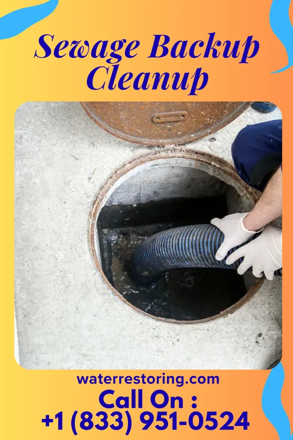 Sewage Backup Cleanup in Freedom, PA