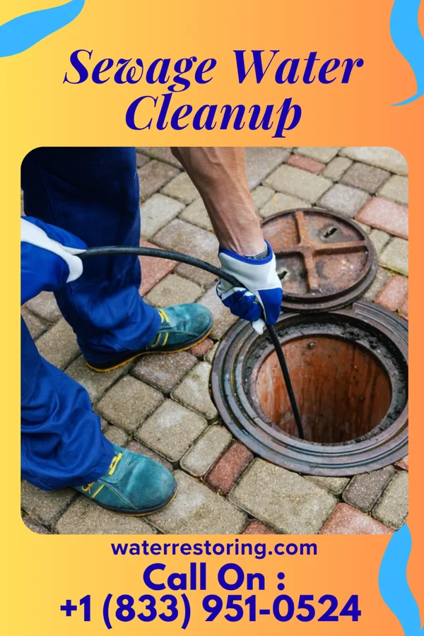 Sewage Water Cleanup in Freedom, PA