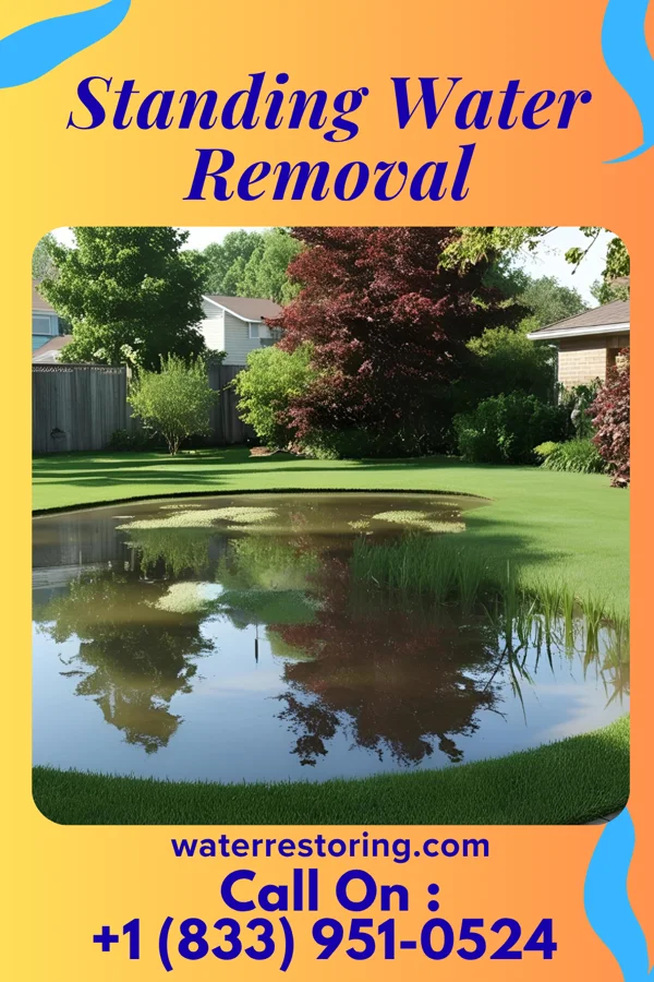 Standing Water Removal in Freedom, PA